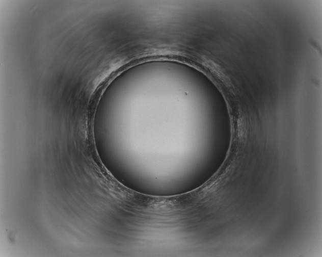 X0000101701165200807101530