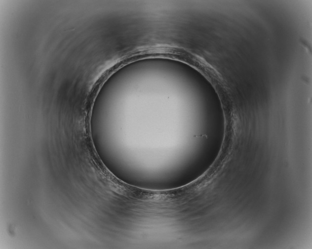 X0000101701166200807101530