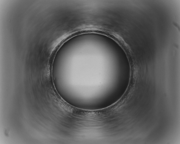 X0000101701167200807101530