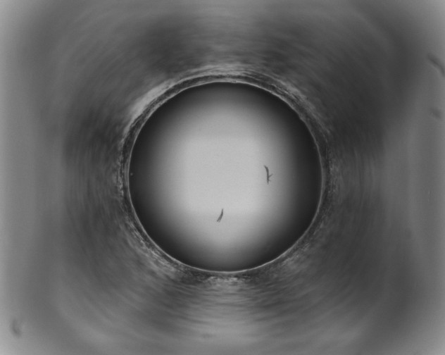 X0000101701168200807101530