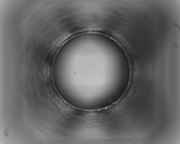 X0000101701169200807101530