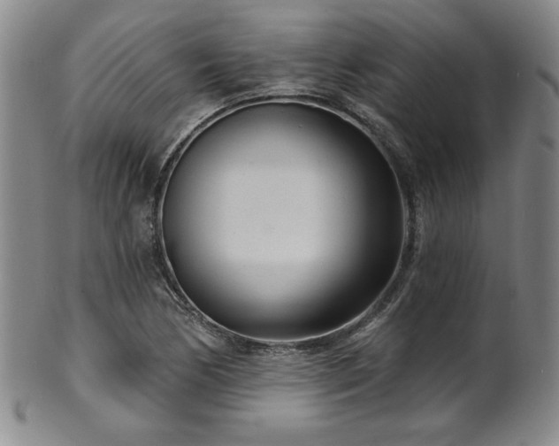X0000101701170200807101530