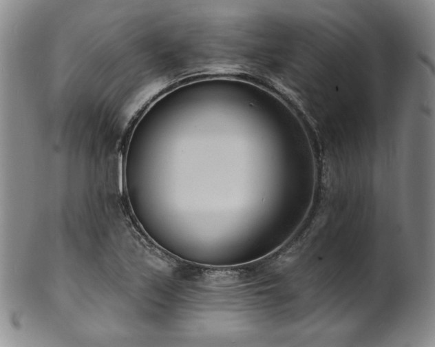 X0000101701171200807101530