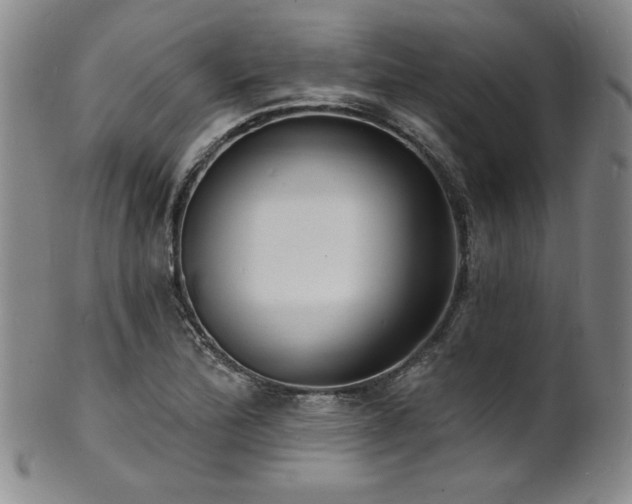 X0000101701172200807101530
