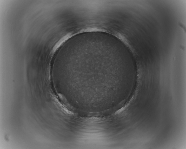 X0000101701173200807101530