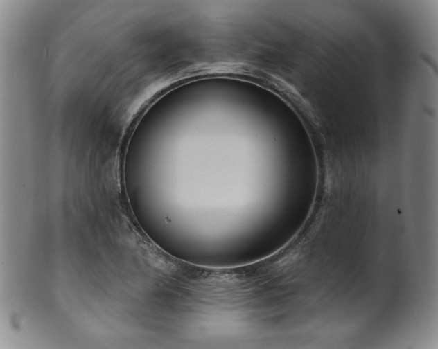 X0000101701174200807101530