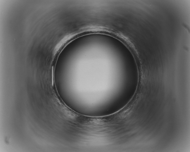 X0000101701175200807101530