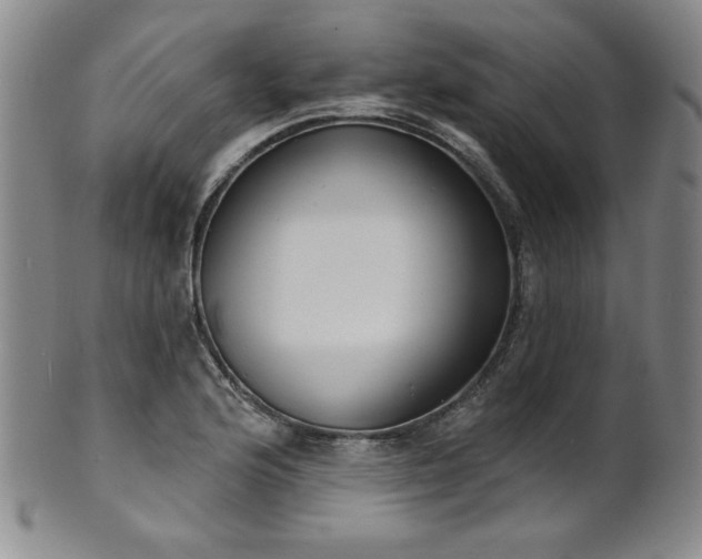 X0000101701176200807101530