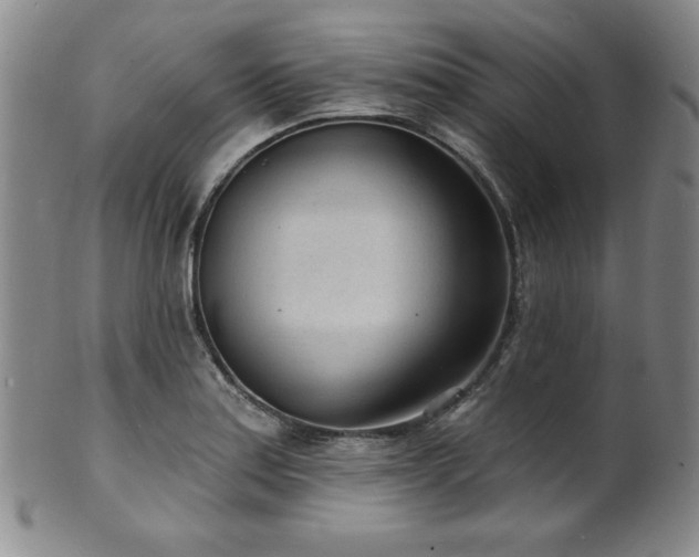 X0000101701179200807101530