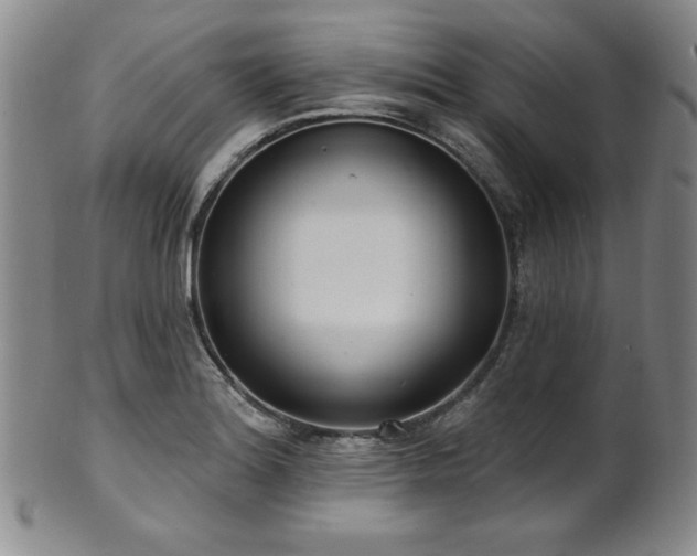 X0000101701180200807101530