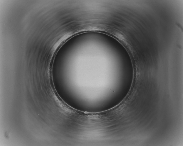 X0000101701181200807101530