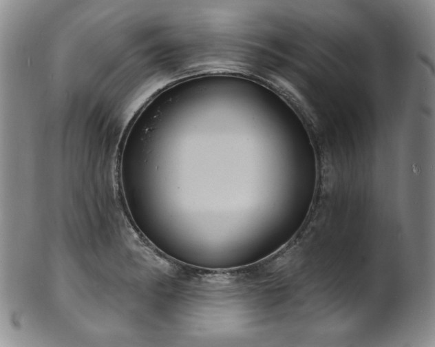 X0000101701182200807101530