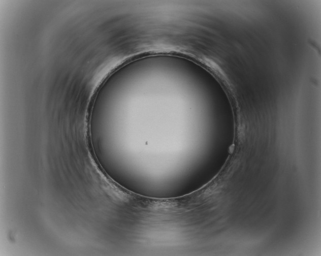 X0000101701183200807101530