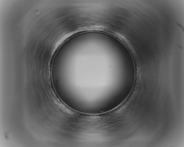 X0000101701184200807101530