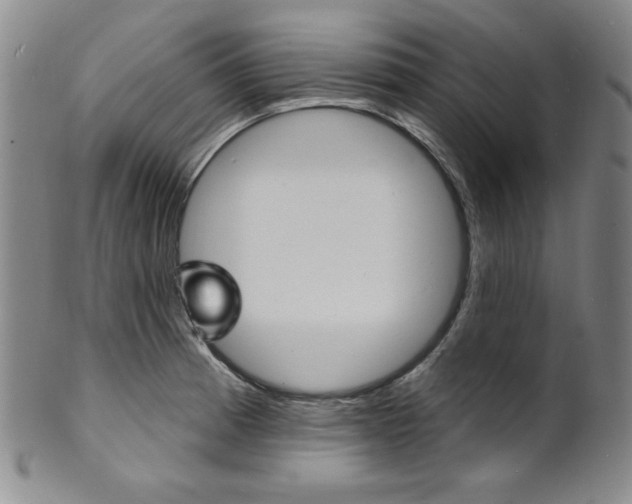 X0000101701185200807101529