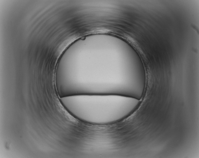 X0000101701186200807101529