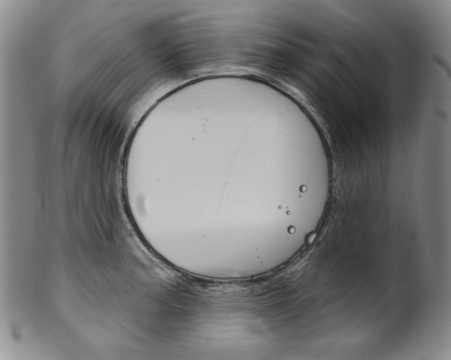 X0000101701187200807101529