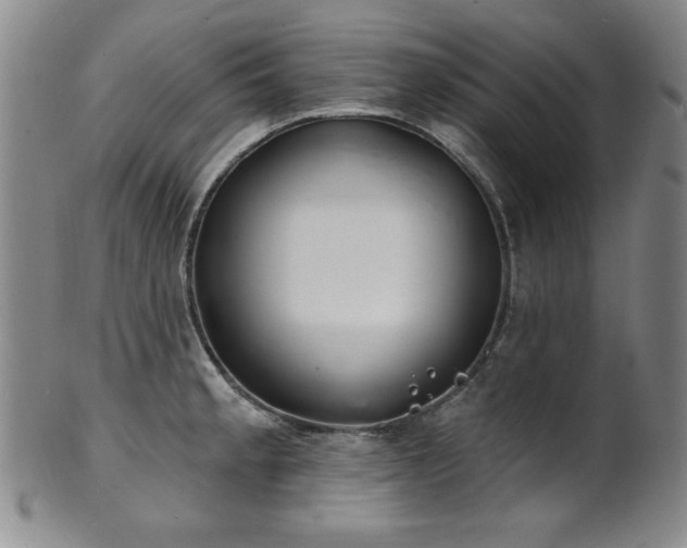 X0000101701189200807101529
