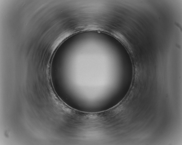 X0000101701190200807101529