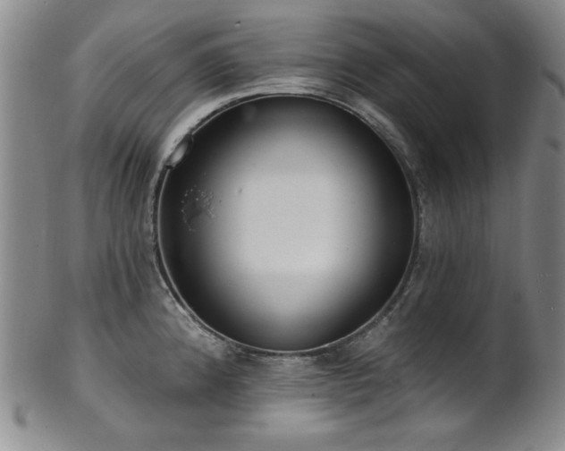 X0000101701192200807101529