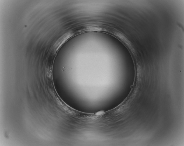 X0000101701193200807101529