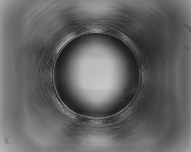 X0000101701194200807101529