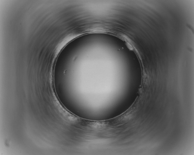 X0000101701195200807101529