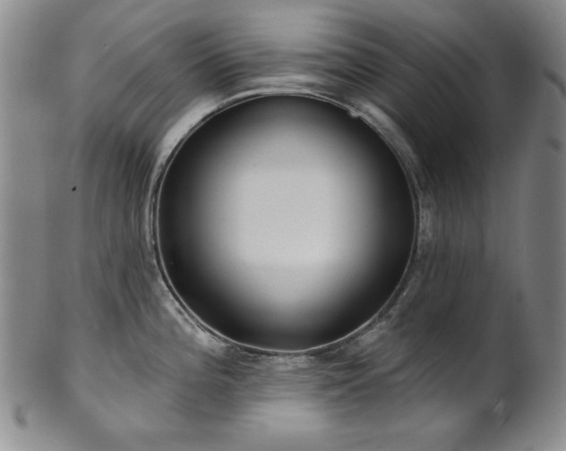 X0000101701196200807101529