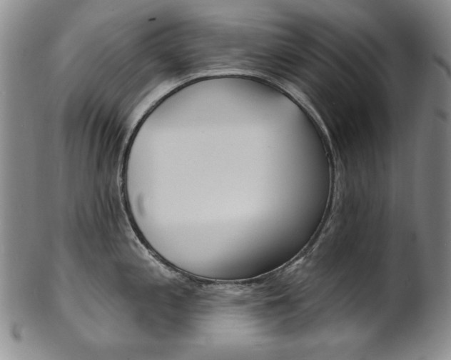 X0000101701197200807101529