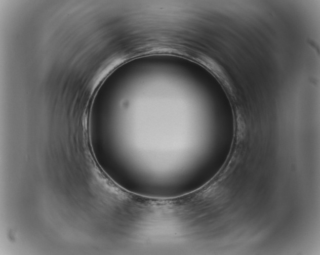 X0000101701198200807101529