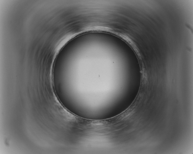 X0000101701199200807101529