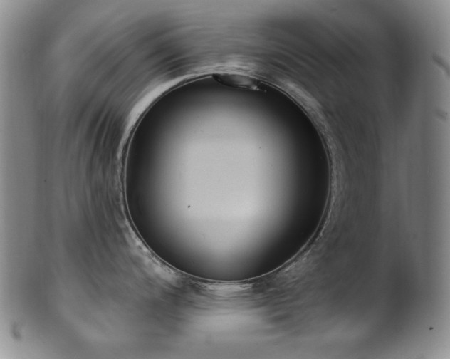 X0000101701200200807101529