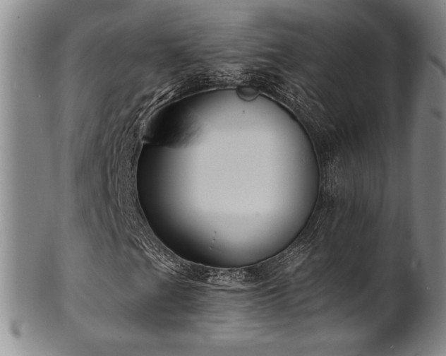 X0000101701201200807101529