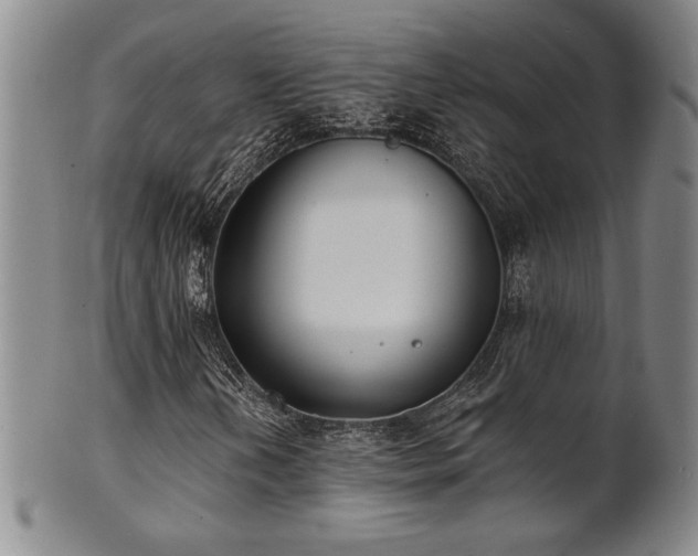 X0000101701202200807101529