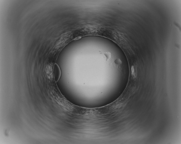 X0000101701203200807101529