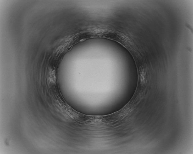 X0000101701204200807101529
