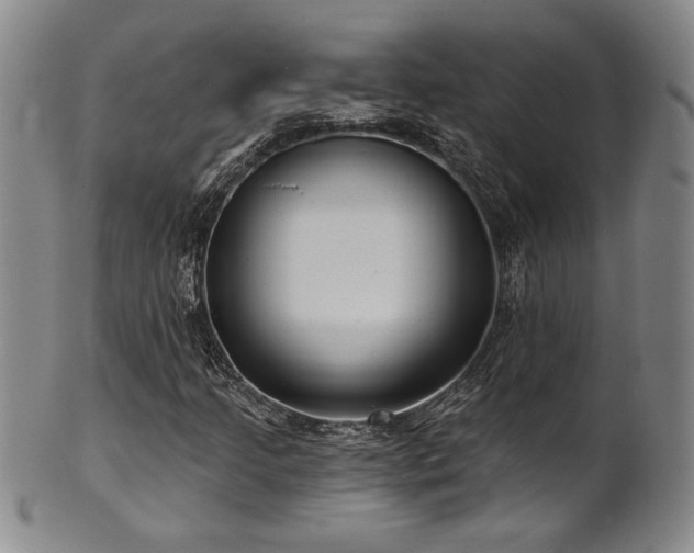 X0000101701205200807101529