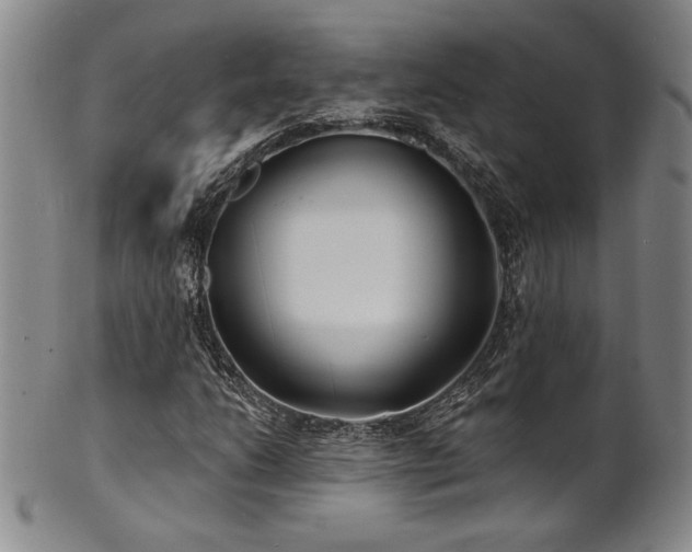 X0000101701206200807101529