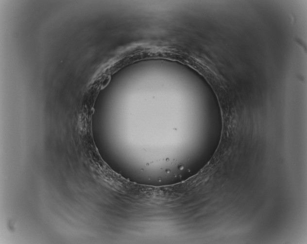 X0000101701207200807101529