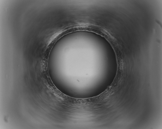 X0000101701208200807101529