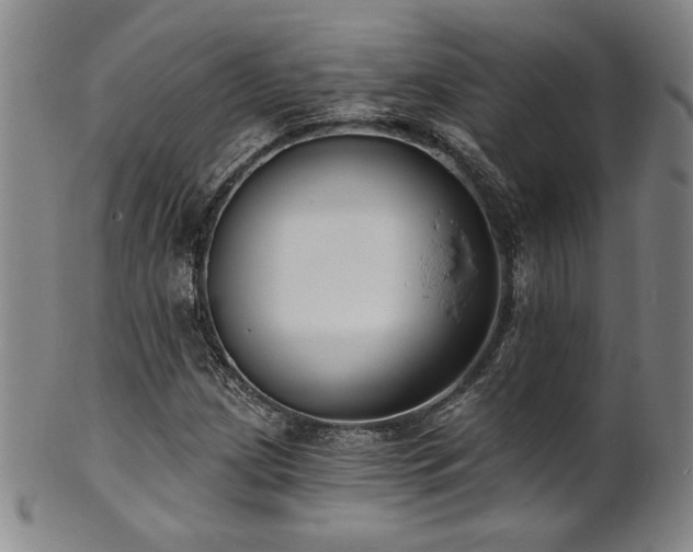 X0000101701209200807101529