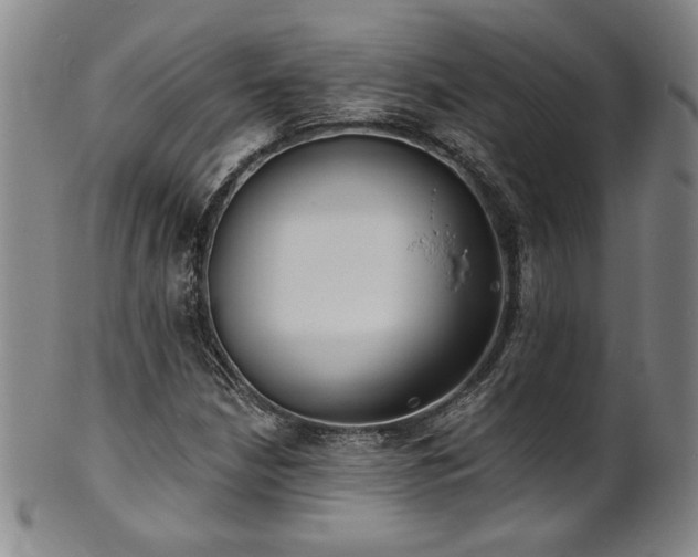 X0000101701210200807101529