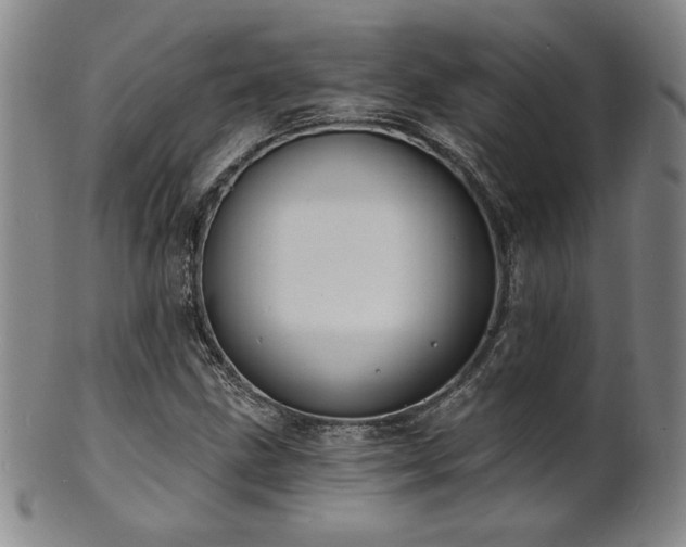 X0000101701211200807101529