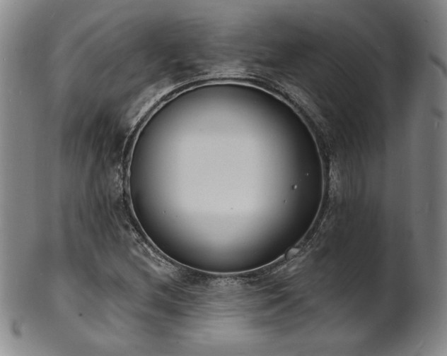 X0000101701212200807101529
