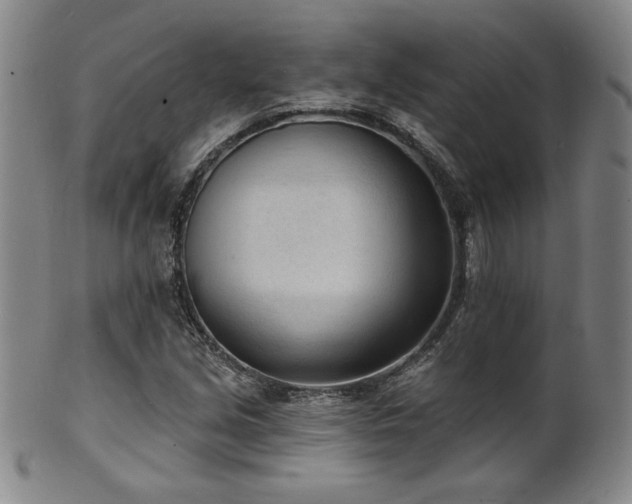 X0000101701213200807101529