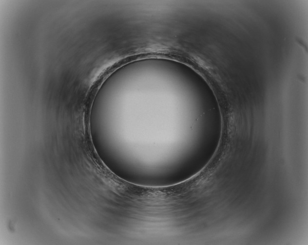 X0000101701214200807101529