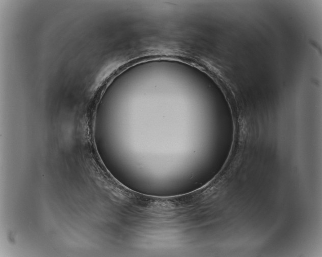 X0000101701215200807101529