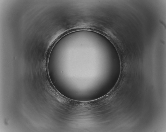 X0000101701216200807101529