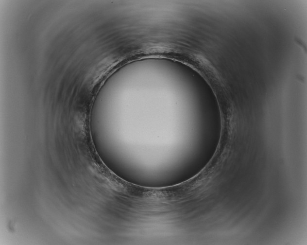 X0000101701217200807101529