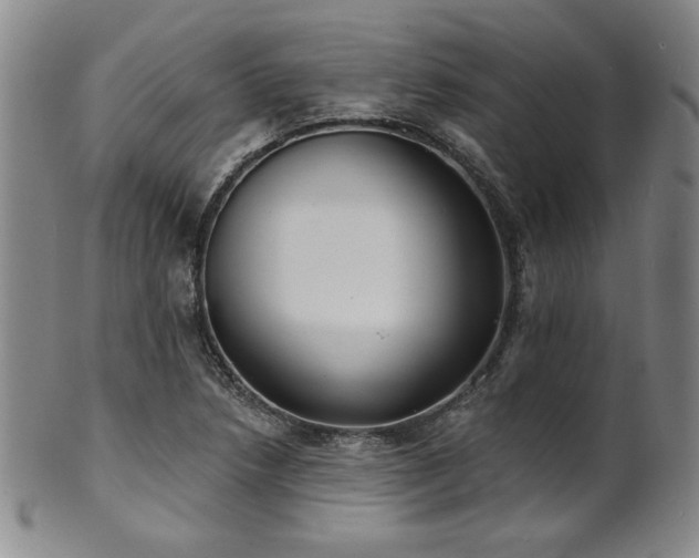X0000101701218200807101529